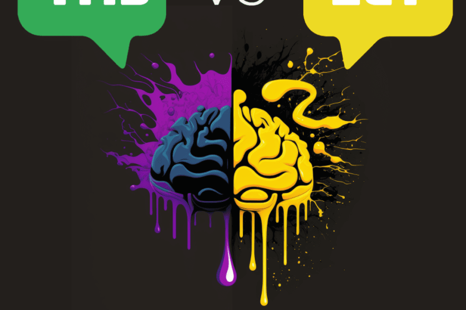 TMS VS ECT GRAPHIC - A BRAIN THAT IS COLORFUL